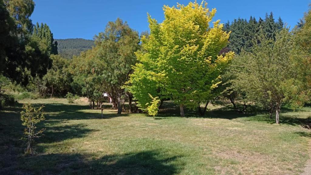 Aparthotel Rupu Pehuen San Carlos de Bariloche Esterno foto